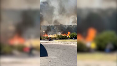 Incêndio em Coina