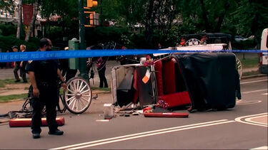 Adolescente morre após ser atirado de charrete no Central Park em Nova Iorque