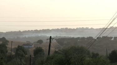 Sete meios aéreos combatem incêndio em Beja