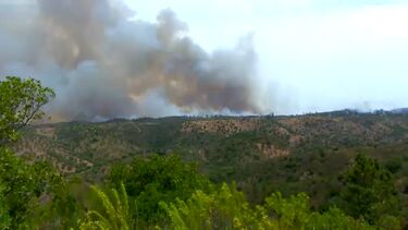 Incêndio em Loulé obriga a evacuar casas e ao corte da EN2. Mais de 100 operacionais e nove meios aéreos no terreno