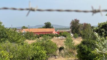 PJ investiga morte de idosa encontrada com hematomas e desnutrida dentro de casa no Algarve