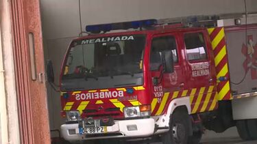 Morre atropelado na A1 por ambulância mobilizada para o socorrer