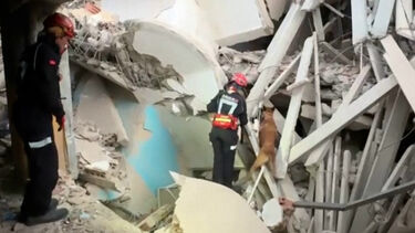 Cães ajudam equipas espanholas a procurar sobreviventes dos sismos na Venezuela