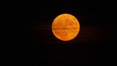 'Lua de Morango' ilumina os céus de Viena e não é por ser vermelha  
