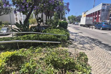 Local do atropelamento em Albufeira