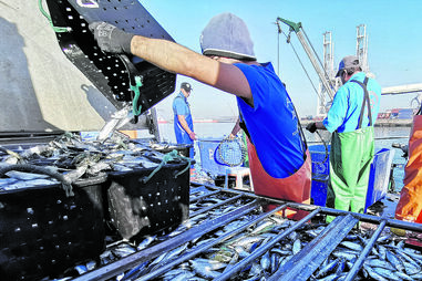 Cenário de barcos parados