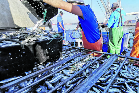 Cenário de barcos parados