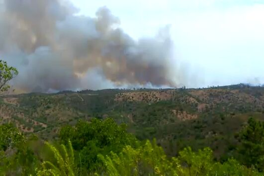 Incêndio em Loulé obriga a evacuar casas e ao corte da EN2. Mais de 100 operacionais e nove meios aéreos no terreno
