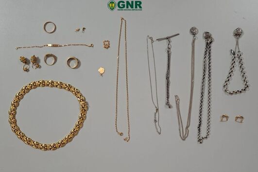 Artigos recuperados pela GNR