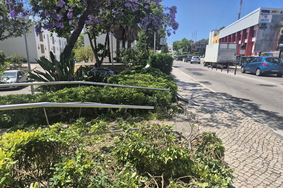 WhatsApp Image 2026-06-06 at 12.49.59 (1).jpeg