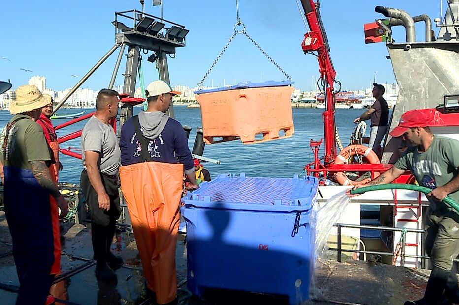 pesca portimão.jpg