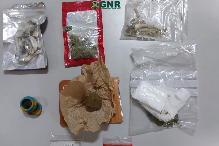 Apreensão Moimenta da Beira.jpg