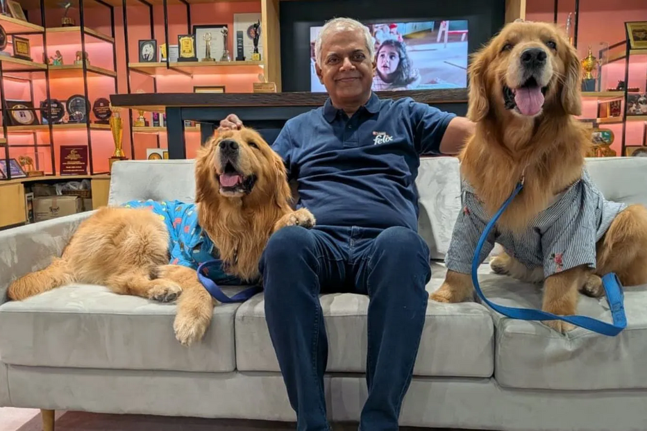 Será este o melhor sítio para trabalhar? Nestlé Índia nomeia dois Golden Retrievers como 