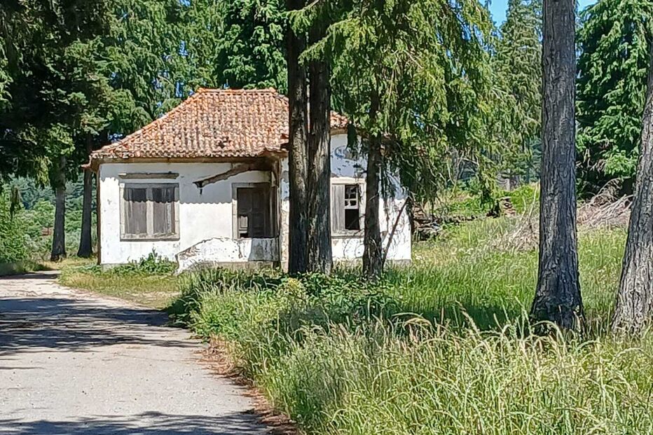 Local onde o corpo da menina foi encontrado