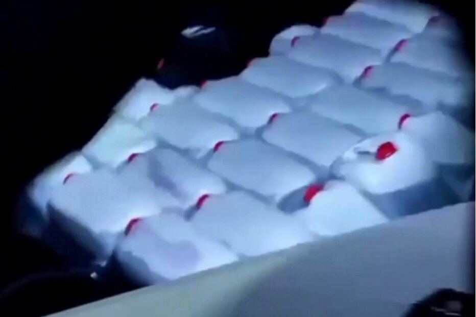 50962271.JPG