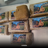 <![CDATA[ Jovem detido com droga de 'El Chapo' em casa em Vila Franca de Xira ]]>