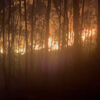 <![CDATA[ Imagens mostram frente de incêndio que ameaçou casas em Santo Tirso durante a noite ]]>