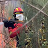 <![CDATA[ Bombeiros espanhóis reforçam combate aos incêndios no centro de Portugal ]]>