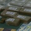 <![CDATA[ PJ apreende 100 quilos de haxixe que tinham como destino Coimbra ]]>