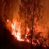 <![CDATA[ Nove meios aéreos e cerca de 360 operacionais combatem chamas no Sabugal. Fogo próximo de habitações ]]>