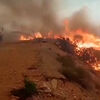 <![CDATA[ Bombeiros combatem fogo perto de habitações na Andaluzia ]]>