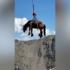 <![CDATA[ Cavalo cruza os céus de Andorra de helicóptero para receber tratamento ]]>