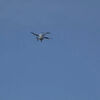 <![CDATA[ Drones tornam mais fácil encontrar estacionamento para camiões nos EUA ]]>