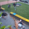 <![CDATA[ Videovigilância capta ataque russo em zona residencial na Ucrânia ]]>