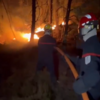 <![CDATA[ Imagens mostram incêndio que já consumiu 800 hectares na floresta de Fontainebleau em França ]]>