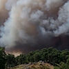 <![CDATA[ Imagens mostram enorme nuvem de fumo provocada por incêndio em Fontainebleau nos arredores de Paris ]]>