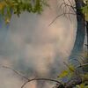 <![CDATA[ Mulher detida pela GNR por suspeita de atear fogo florestal em Viseu ]]>