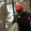 <![CDATA[ Bombeiros lutam para impedir reacendimento de fogo que lavrou em floresta nos arredores de Paris ]]>