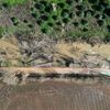 <![CDATA[ Quase 20 mil quilómetros de estradas e caminhos florestais limpos após tempestades ]]>