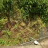 <![CDATA[ Discussão com homem termina em tragédia: Mulher encontrada morta em levada na Madeira ]]>