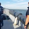 <![CDATA[ Mega-operação no Tejo fiscaliza 300 passageiros ]]>