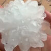 <![CDATA[ Tempestades de granizo atingem o sul da França ]]>