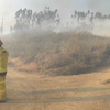 <![CDATA[ Incêndio em Proença-a-Nova combatido por mais de 300 bombeiros e 11 meios aéreos ]]>