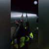 <![CDATA[ Equipas de emergência resgatam pessoas presas em carros submersos durante cheias no Texas ]]>