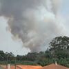 <![CDATA[ Chamas ardem "com intensidade" em zona florestal de Ovar ]]>