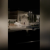 O momento em que assaltantes se colocam em fuga depois de fazerem explodir caixa multibanco em supermercado em Coimbra