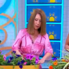 <![CDATA[ O guia prático de Teresa Chambel para decorar espaços exteriores com plantas ]]>