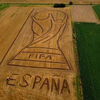 <![CDATA[ Artista italiano usa trator para fazer desenho gigante do troféu do Mundial e celebrar a vitória espanhola ]]>