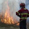 <![CDATA[ Identificado suspeito por atear fogo rural na Madeira ]]>