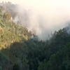 <![CDATA[ Dois meios aéreos combatem as chamas numa zona de mato em Gondomar ]]>