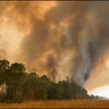 <![CDATA[ Incêndio florestal obriga à retirada de 20 mil pessoas na costa atlântica de França ]]>