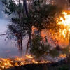 <![CDATA[ Incêndios intensos obrigam à retirada de milhares de pessoas no sudoeste de França ]]>