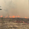 <![CDATA[ Bombeiros combatem incêndio de grandes dimensões no sudoeste de França ]]>
