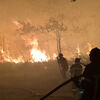<![CDATA[ Incêndios em França obrigam à retirada de moradores nos arredores de Bordéus ]]>