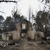 <![CDATA[ Incêndios no sudoeste de França obrigam cerca de 200 mil pessoas a deixar as habitações ]]>