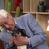 <![CDATA[ Em lágrimas, idoso é obrigado a entregar o companheiro de quatro patas para adoção. Conheça a emocionante história de César e Curro ]]>